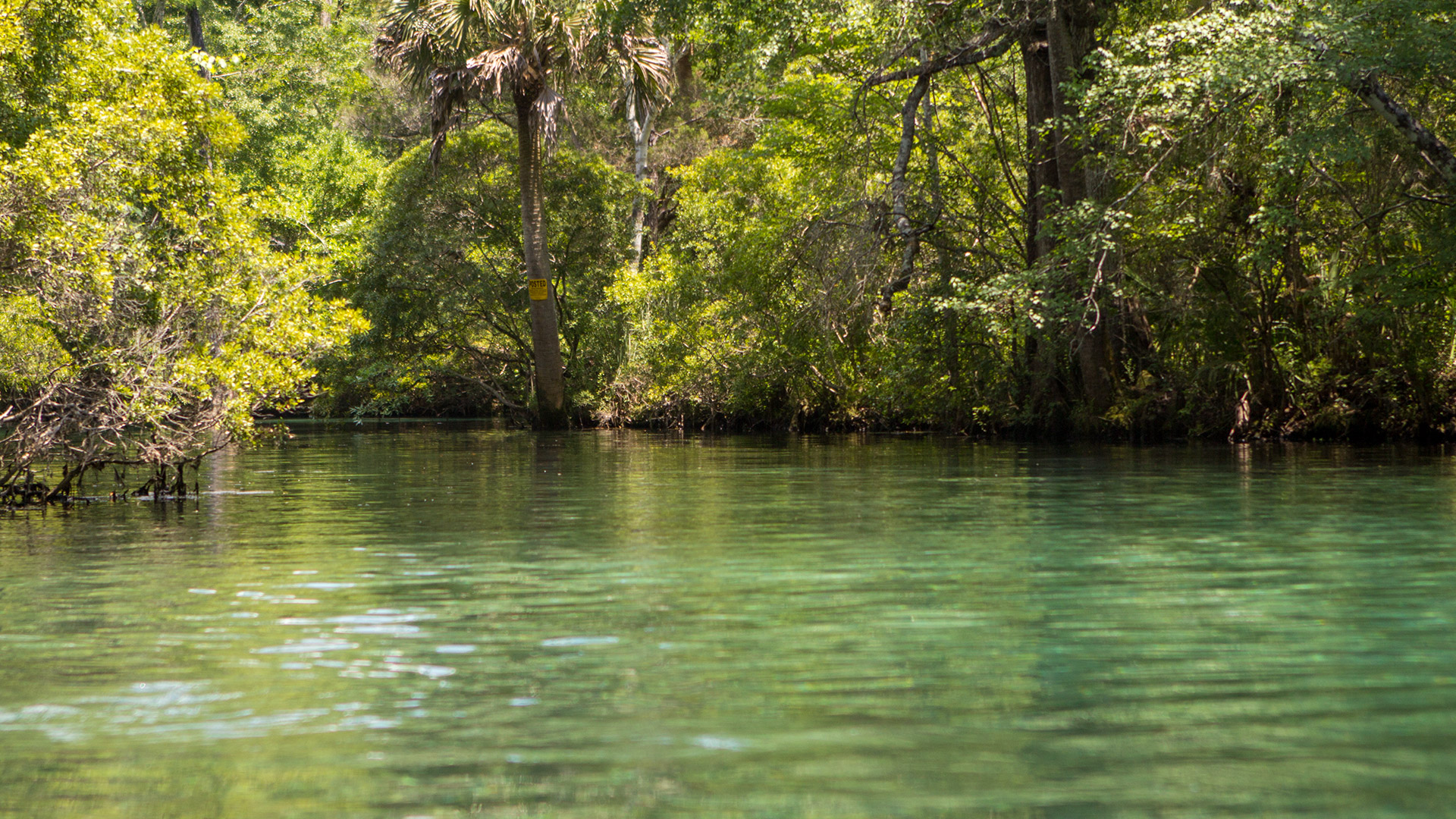 NW Florida Natural Springs - Campers Inn Inc.